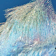photo-2978223